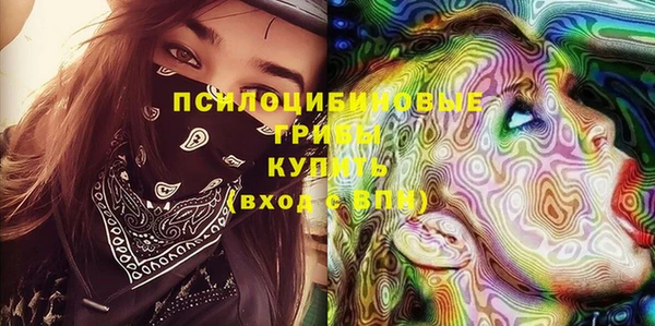 гашик Балахна
