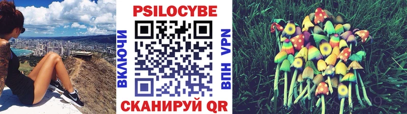 KRAKEN   Калязин  Псилоцибиновые грибы мухоморы 